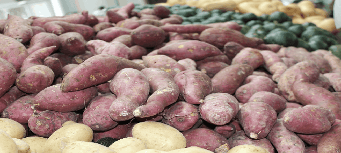 De zoete aardappel
